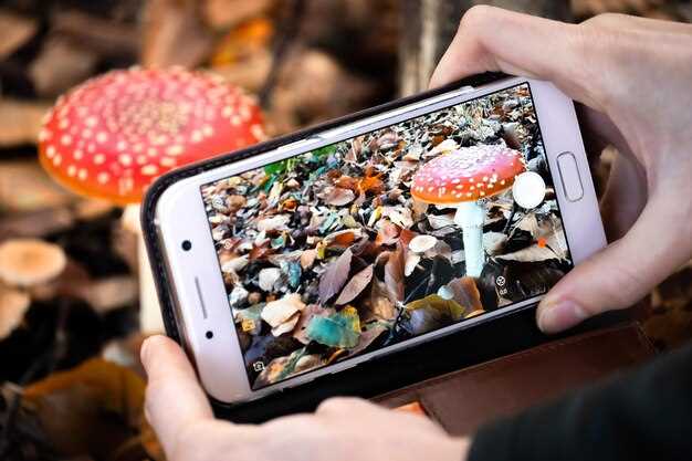 Пошаговая инструкция по установке видео на обои в Android