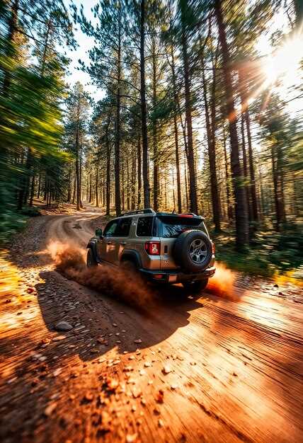 Маневрирование на различных типах поверхности: песок, глина, камни
