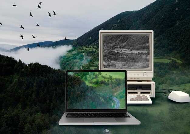 Ноутбуки для профессиональной работы с графикой и видеомонтажем