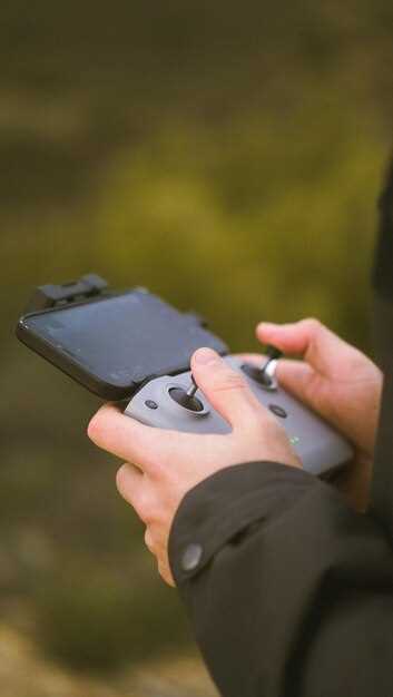 Совместимость с PlayStation Remote Play и сторонними приложениями