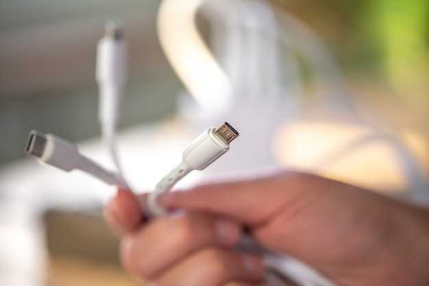 USB Type-C: универсальный разъем с возможностями подключения разных устройств